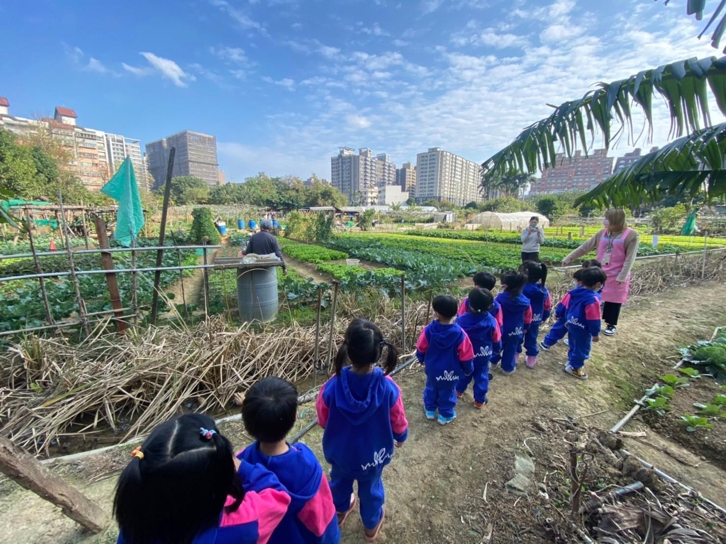 112(上)企鵝班巡菜園