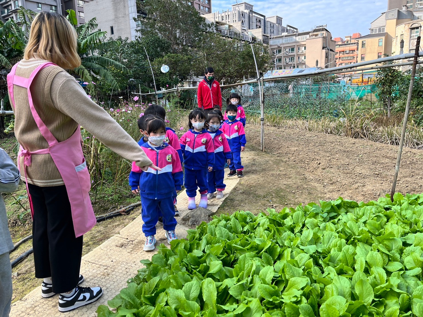 112(上)企鵝班巡菜園