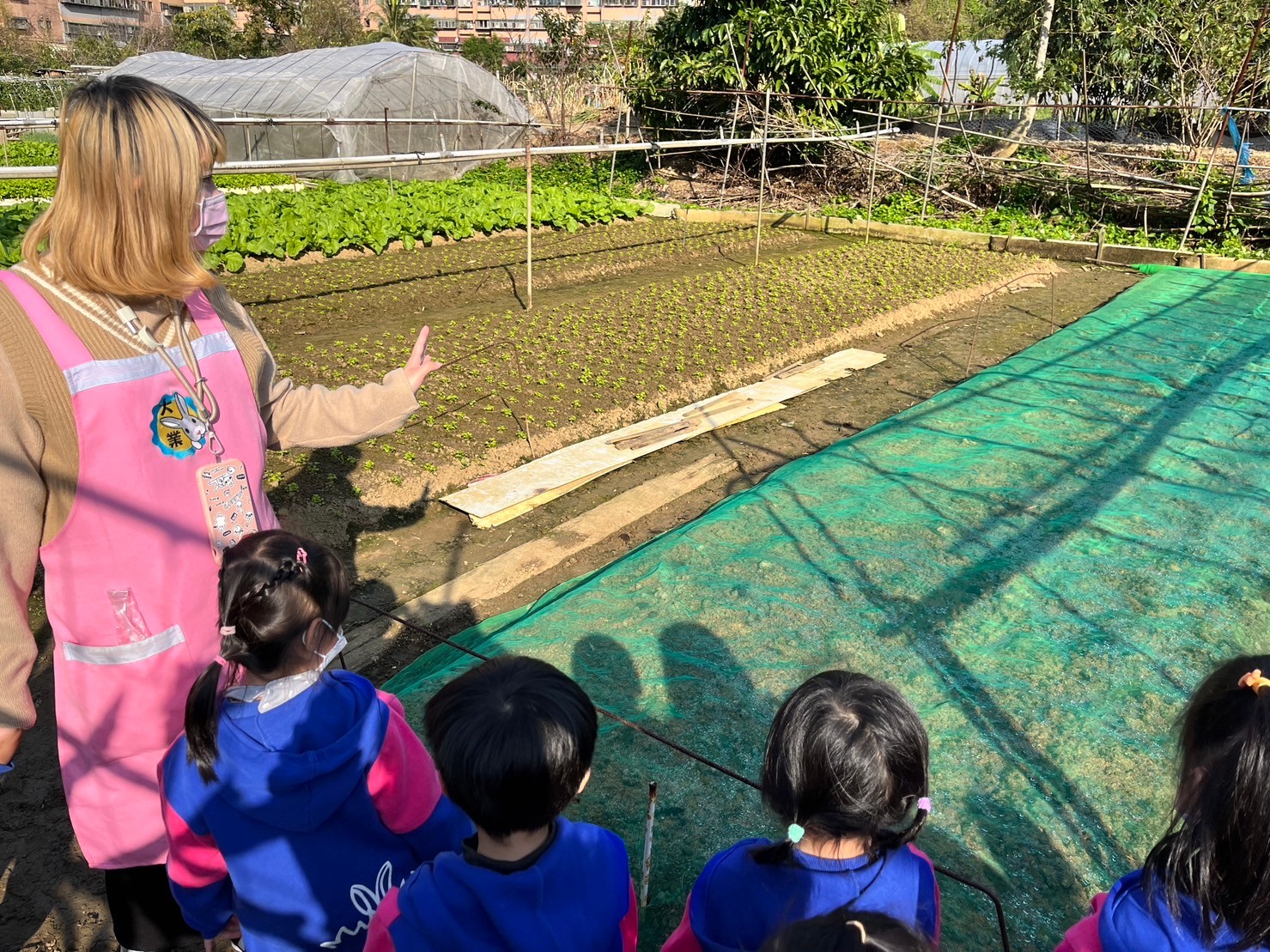 112(上)企鵝班巡菜園